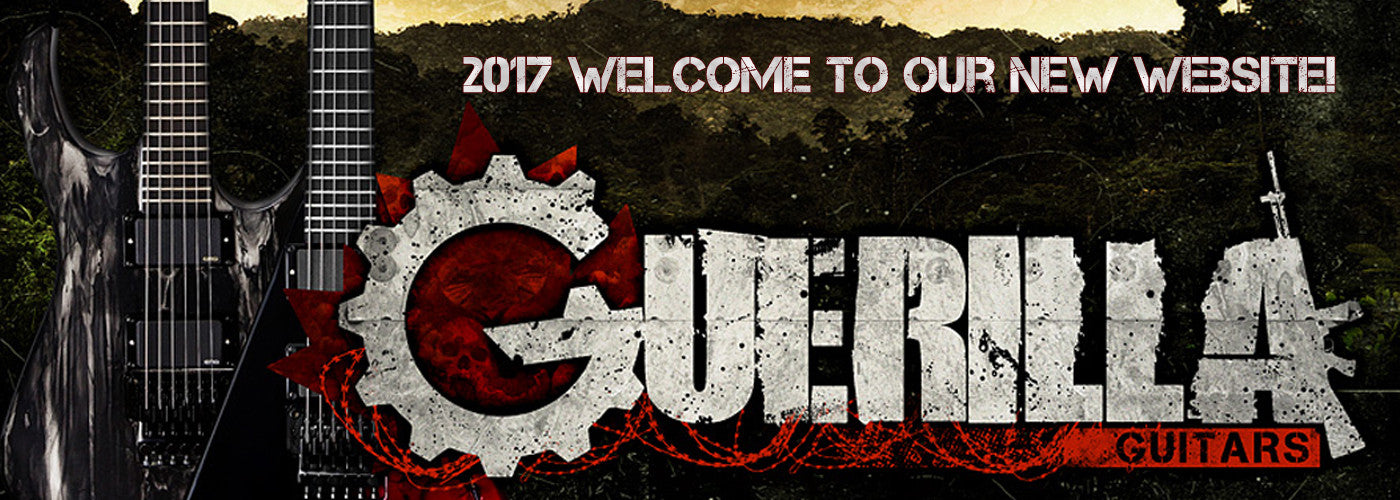 New Website 2017
